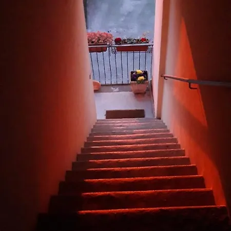 Terme E Relax Nella Campagna Viterbese Bed & Breakfast